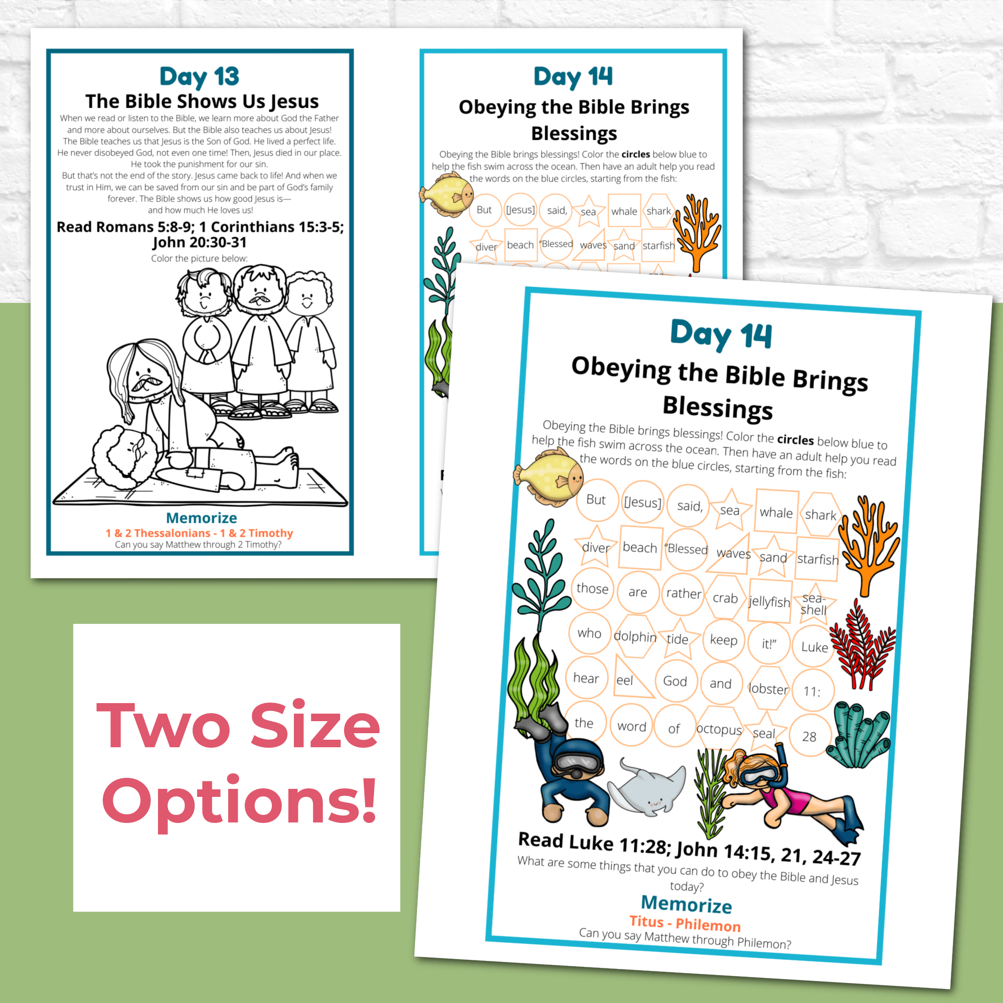 Introduction to the Bible Journal for Preschoolers and Early Readers