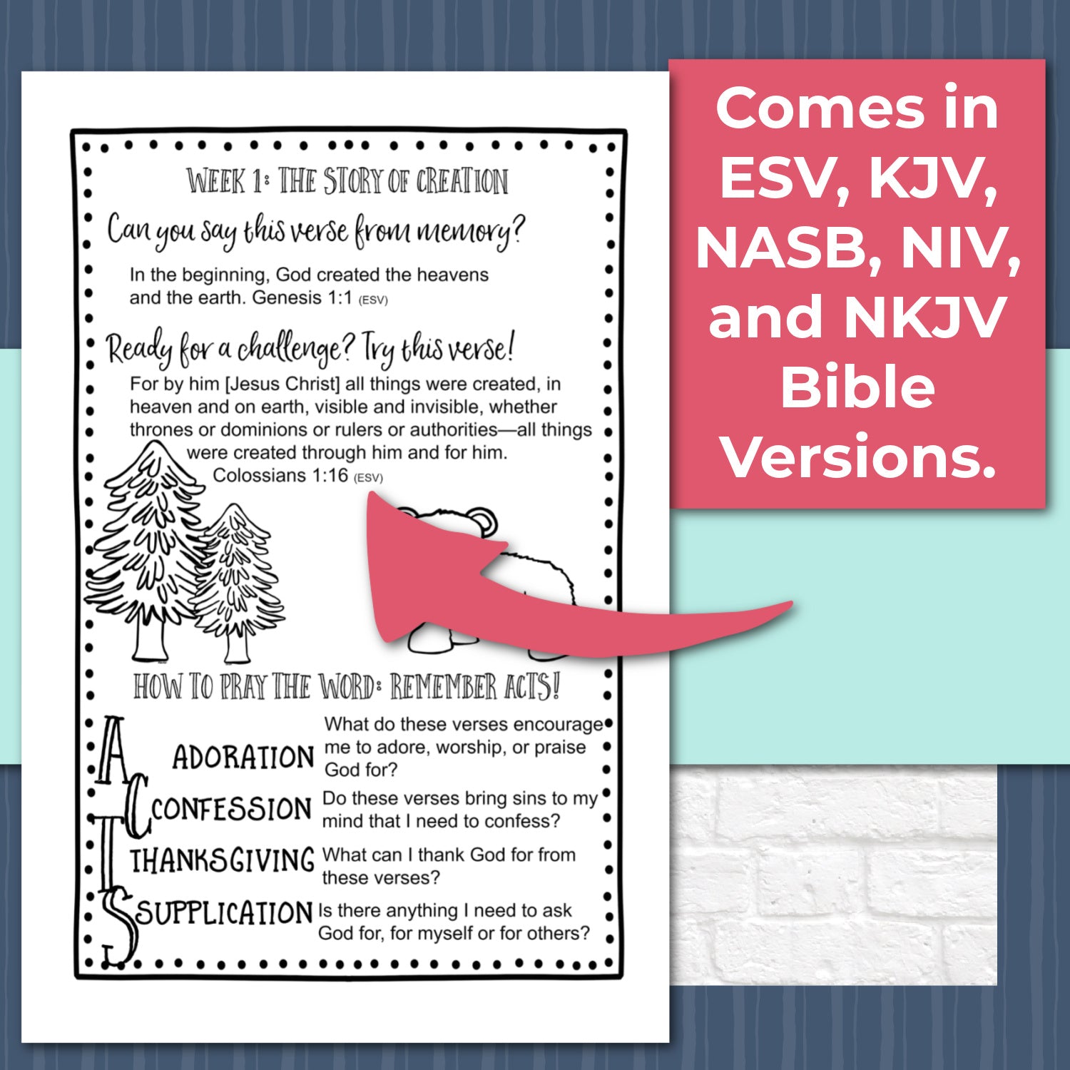 Salvation Bible Reading Pages - Six Week Bible Reading Plan for 1st - 6th Grades