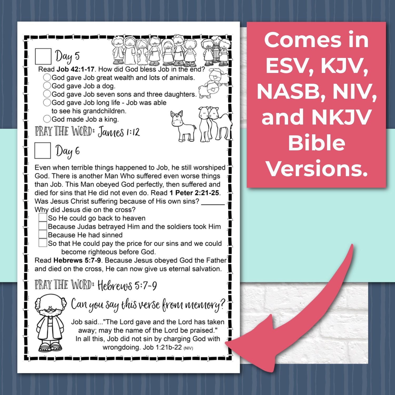 Story of Job Bible Reading Pages - 1 Week Bible Reading Plan for 1st - 6th Grade